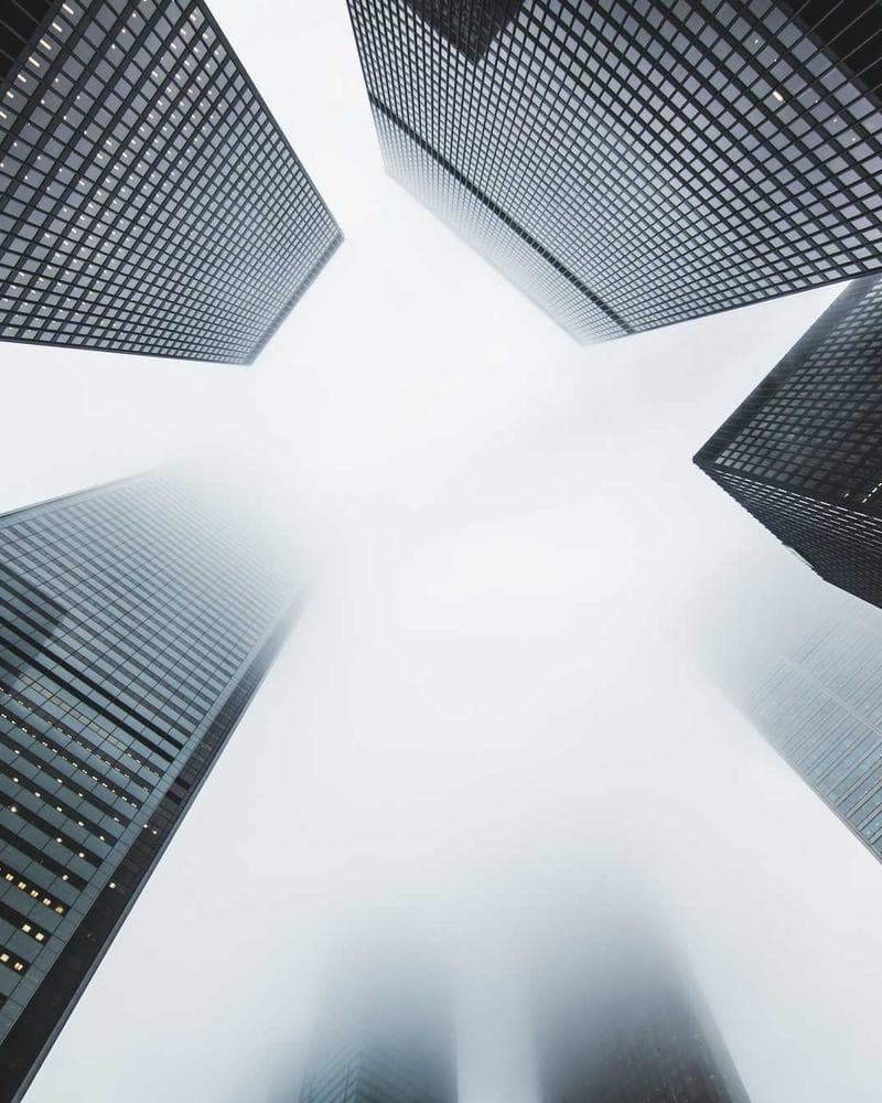 Organizasyon